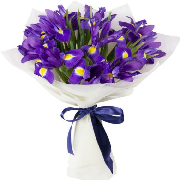 Волна от 5 700 руб.